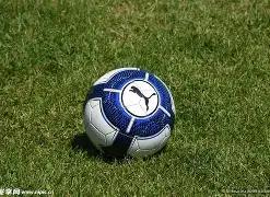 悉尼,一本万利之,米博体育,米博体育平台,米博体育官方网站,米博体育登录入口,米博体育app下载