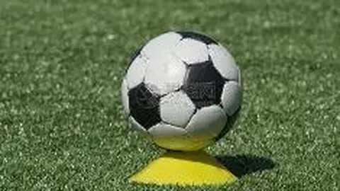 米博体育 资讯 124758 0xo